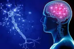 Neuro Physician